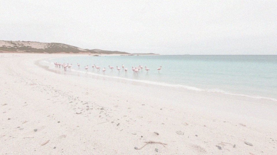 Jak wygląda Plaża Mari Ermi w zatoce Oristano?