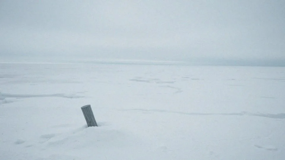 Biegun północny i południowy – różnice, zjawiska i klimat