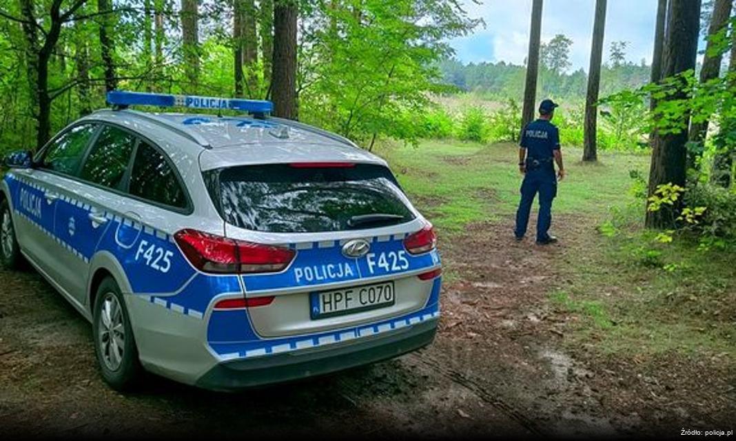 Bezpieczeństwo pieszych w okresie jesienno-zimowym na terenie Torunia