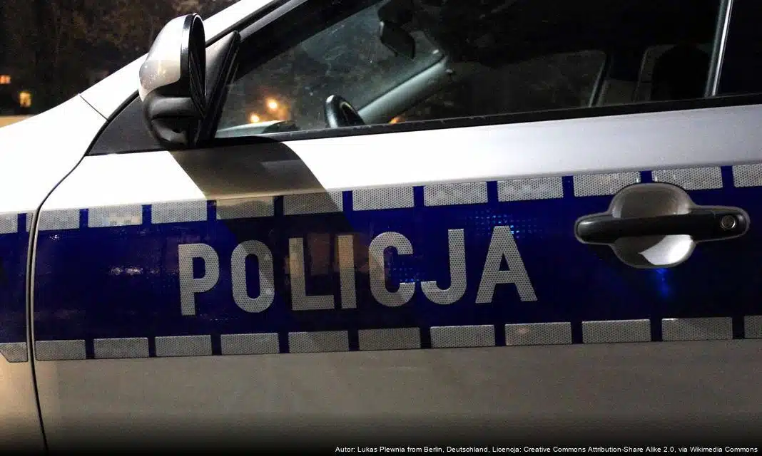 Policjanci zapewniają bezpieczeństwo podczas finału WOŚP w Toruniu