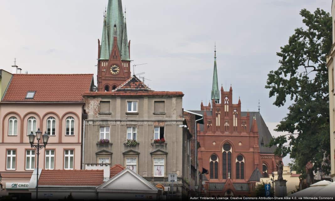 Dodatkowe prace na Szosie Lubickiej w Toruniu