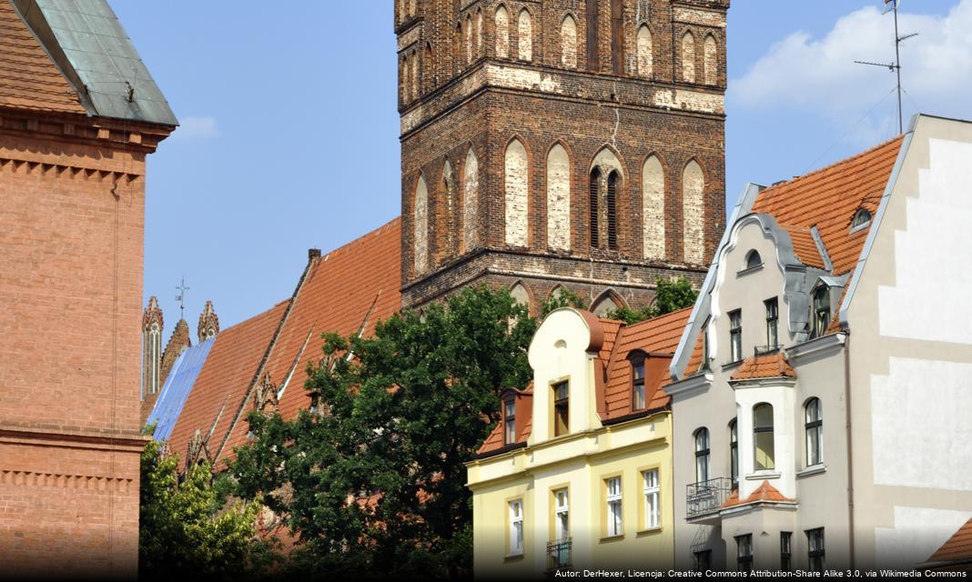 Kampania wyborcza do Młodzieżowej Rady Miasta Torunia