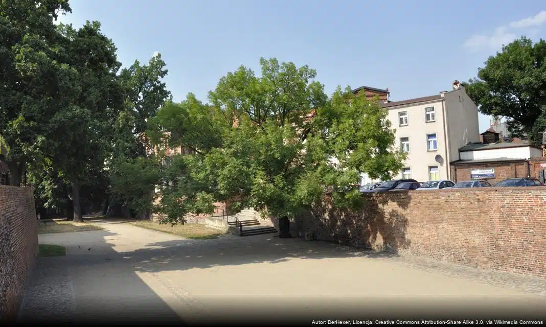 Możliwości finansowania działań na rzecz ochrony praw człowieka w Toruniu