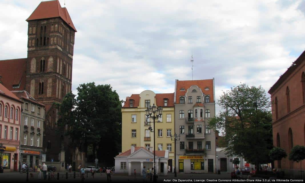 Trwa interwencyjna wycinka drzew w Toruniu dla zapewnienia bezpieczeństwa