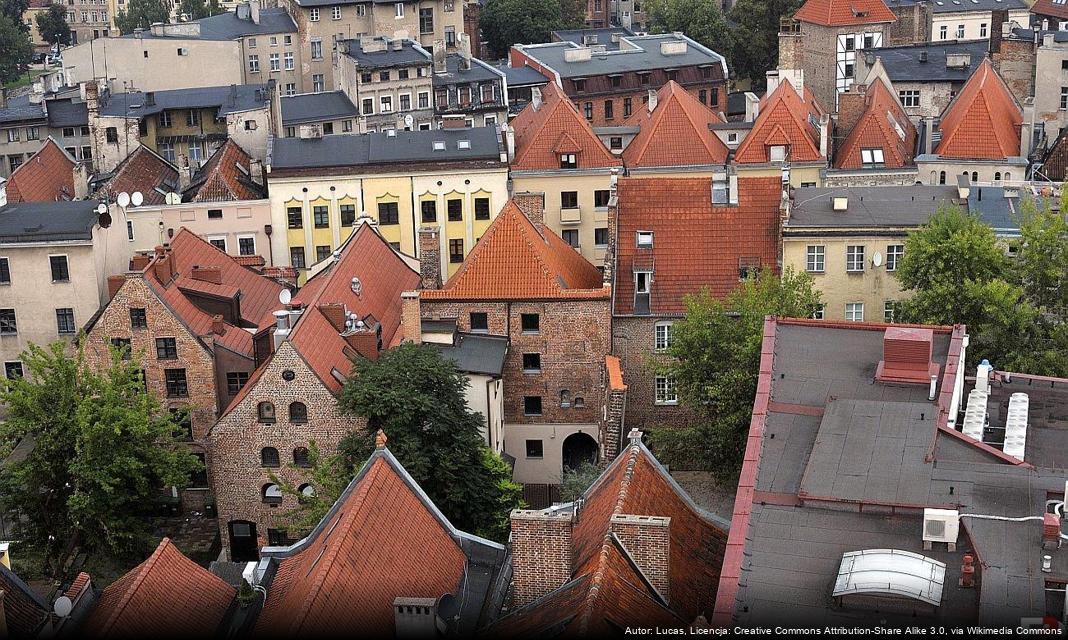 Grzybobranie i zwiedzanie – wyjątkowa wycieczka piesza z PTTK w Toruniu