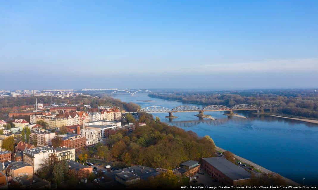 Toruń podejmuje działania na rzecz ochrony jerzyków