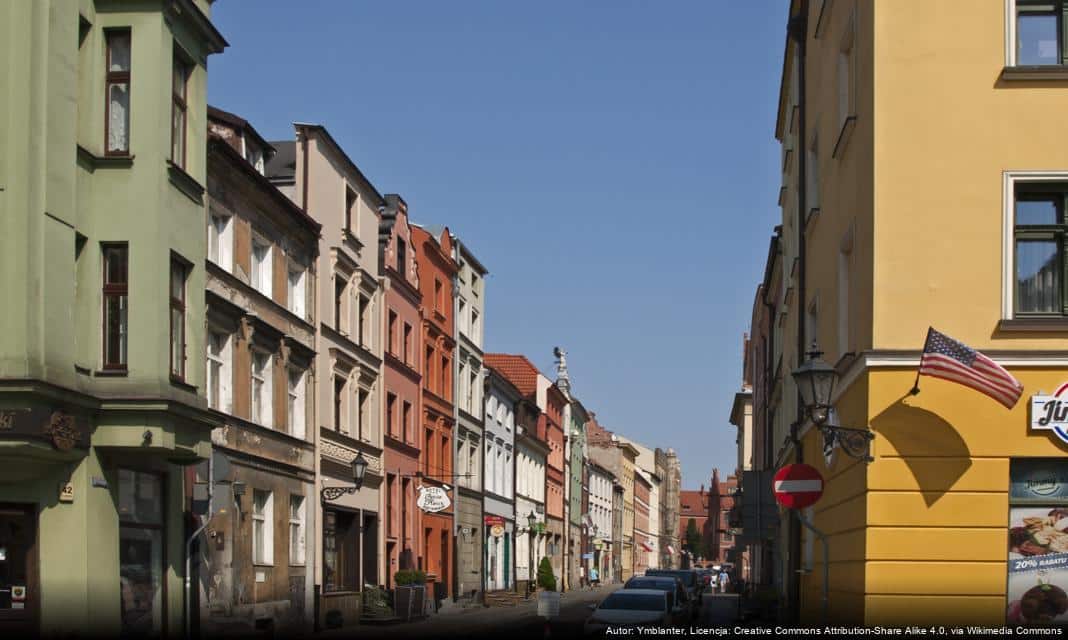 Jesienne nasadzenia drzew i krzewów w Toruniu